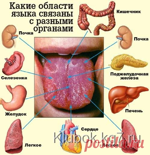 Сумки | Клубок