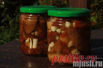 Соленые грузди с хреном и чесноком на зиму пошагово
