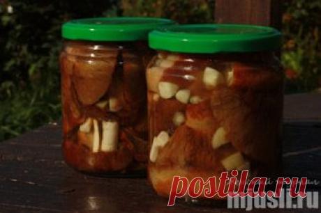 Соленые грузди с хреном и чесноком на зиму пошагово