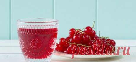 Домашнее вино из красной смородины. | Записки садовода | Яндекс Дзен
