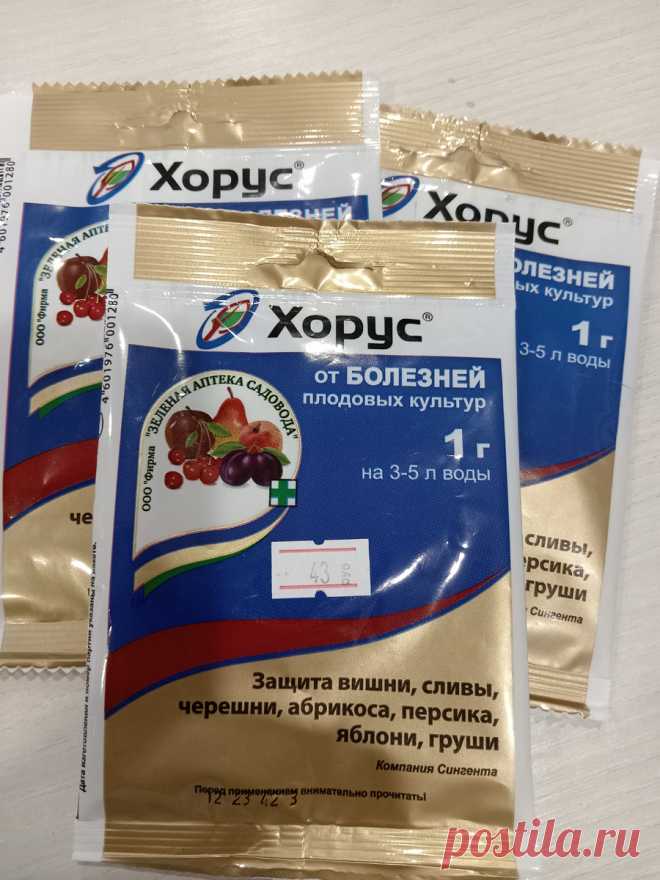 Обработка сада, которую пропускать никому не советую | Цветочная няша | Дзен