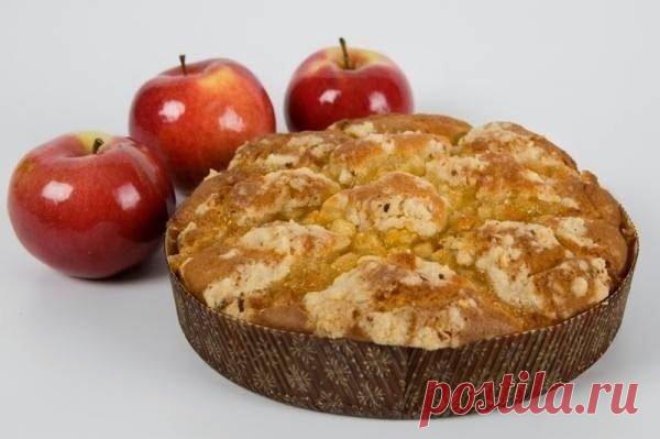 Шарлотка - 9 вариантов приготовления.

1. Яблочная шарлотка.

Яблоки 1 - 1,1 килограмма
Сахарный песок - 300 грамм
Мука - 300 грамм
Яйцо - 4 штуки
Корица - 1 столовая ложка
Лимон - 2/3 от целого плода
Ваниль - по вкусу
Коньяк - 2 ст ложки
Растительное масло 1 столовая ложка

Приготовление

Начнем с яблок. Лучше в шарлотку брать более кислые сорта, но можно и любые. Пробуйте готовить с разными,экспериментируйте. Подбирайте под свой вкус.

Яблоки моем, обсушим. Пошинкуем тон...