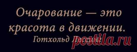Твоё парфюмерное Я