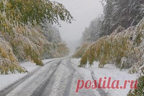 Жители российского региона остались без света из-за снежного апокалипсиса. Часть жителей Свердловской области лишилась электричества из-за бурана. Коммунальные аварии произошли в понедельник, 26 сентября. Снегопад стал причиной локальных перебоев в электроснабжении в Сысертском, Белоярском, Каменск-Уральском городских округах региона. В компании происходящее назвали снежным апокалипсисом.