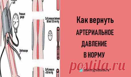 Как вернуть артериальное давление в норму