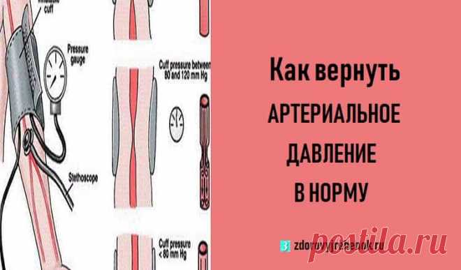 Как вернуть артериальное давление в норму