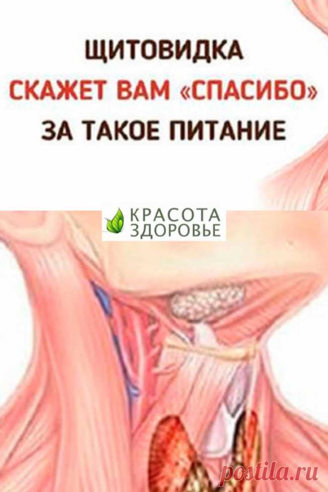 Щитовидка скажет вам «спасибо» за такое питание. От здоровья щитовидной железы зависит многое, поэтому очень важно поддерживать ее в целости и сохранности. А сделать это можно с помощью определенного питания и следования некоторым правилам. ➡️ Кликайте на фото, чтобы прочитать полностью