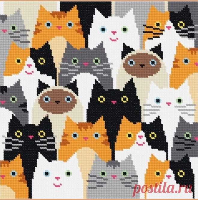 СХЕМА с кошками