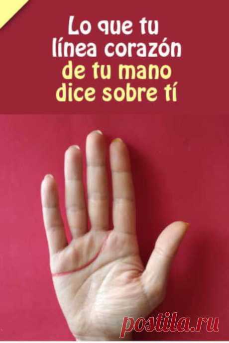 TEST MANOS