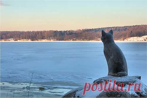 Яндекс.Фотки