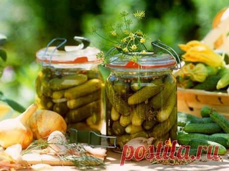 Огурцы, маринованные без уксуса - с водкой, лимоном и мятой: Press-Profi