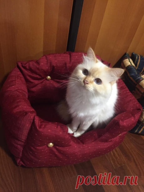 Диванчик для кота Диванчик для котаДаже котам важно иметь свое место, на которое никто кроме них не посягает.