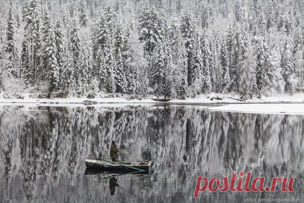 Река Бия, Алтай. Автор фото — Антон Петрусь: nat-geo.ru/photo/user/50290/