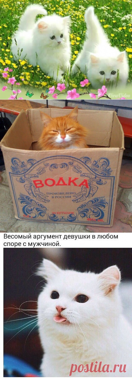 (83) Одноклассники