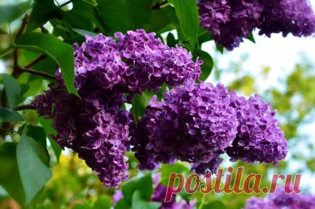 Просыпается жизнь...