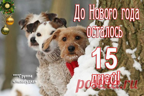 Интересные новости