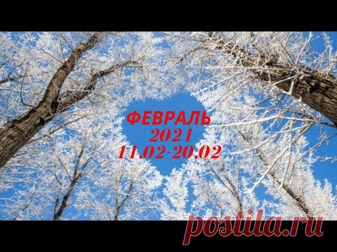 Таро Прогноз на февраль 2021  (период 11-20 февраля  2021 года) Астрологический Оракул Симболон