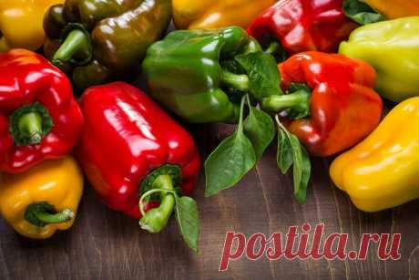 Как обработать семена перца перед посадкой на рассаду перекисью водорода?