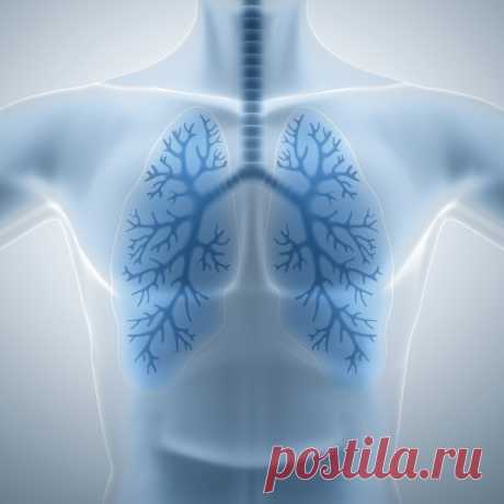 Экзогенно-аллергический альвеолит