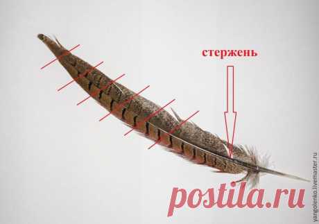 7 способов сделать из обычных перьев декоративные - Ярмарка Мастеров - ручная работа, handmade