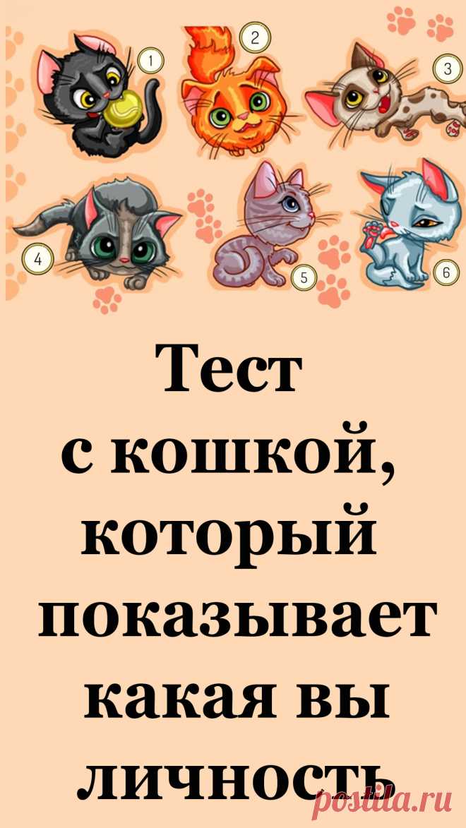 Посмотрите внимательно на фотографию и выберите кошку, которая вам больше всего нравится.