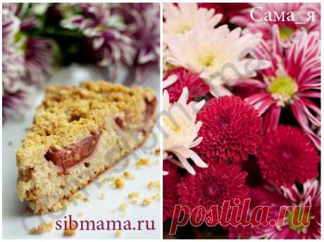 dom.sibmama.ru: /Кулинарная книга. Рецепты/Выпечка/Пироги/Пирог со сливами и ореховой посыпкой