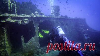 Дайверы обнаружили затонувший фрегат с шампанским на дне Балтийского моря. Дайверы из Польши обнаружили на дне Балтийского моря фрегат с шампанским, фарфором и минеральной водой. Читать далее