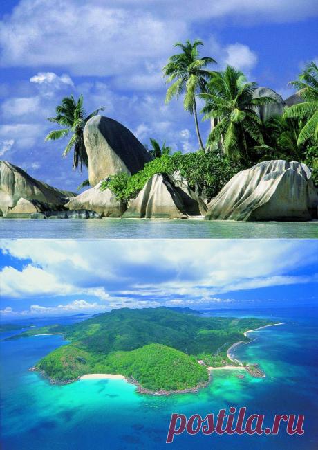 Сейшелы: идеальные пляжи и необыкновенные животные - блоги путешественников и туристов