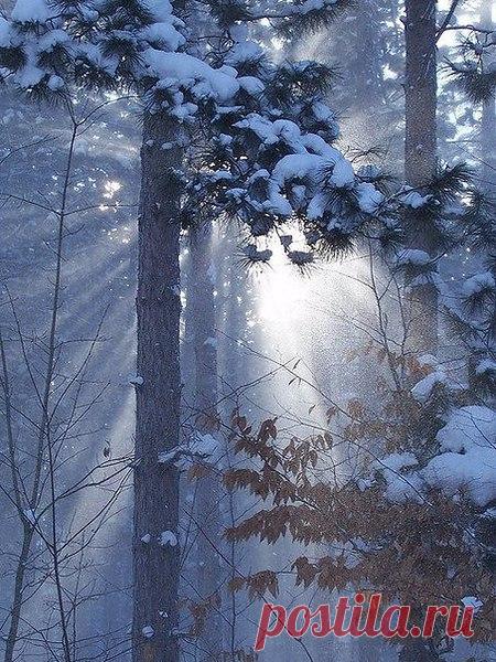 Ириша: Если нет дороги на запад, тогда лучше ехать на восток. Земля круглая — рано или поздно каждый придет к тому, к чему должен прийти. Эльчин Сафарли