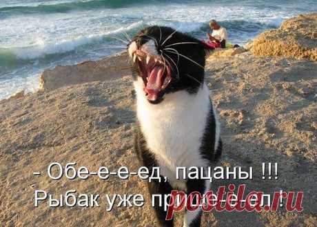 Интересные новости