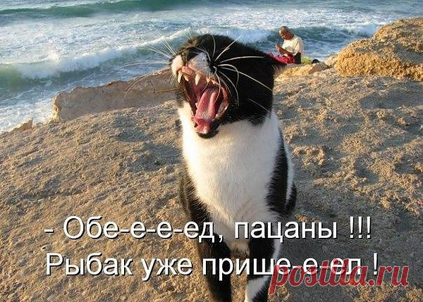 Интересные новости