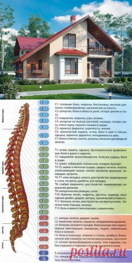 ❀ Проекты домов. Дуэт для красоты. Удачный бисквит. Скрытые блоки. Вытягивание рассады. Подарки мужчинам // Кусочек Постилы к чаю! - lnd2011-55@mail.ru - Почта Mail.Ru