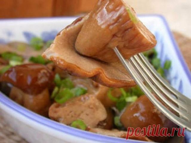 Комментарии к теме грибы