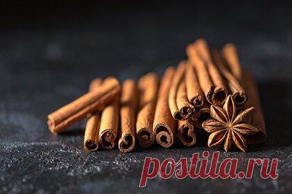 Названы предотвращающие рак специи. Диетолог Татьяна Дик призвала россиян включить в рацион корицу, куркуму, тимьян, шалфей и орегано. По ее словам, эти специи богаты антиоксидантами, которые оказывают противораковое действие и борются со свободными радикалами. Кроме того, корица уменьшает риск возникновения сердечно-сосудистых заболеваний.