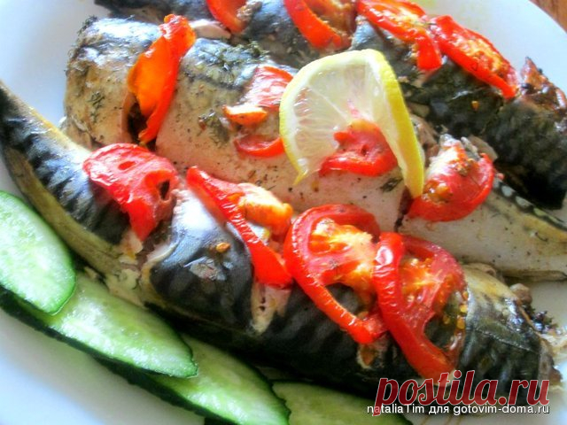 Запеченная скумбрия с укропом и помидорами • Блюда из рыбы