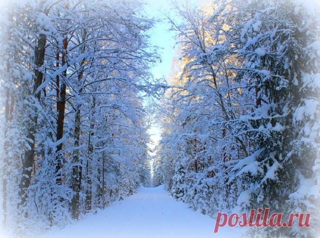 Дорога на Куртнаские озёра :: Marina Pavlova – Социальная сеть ФотоКто Эстония, волость Иллука.