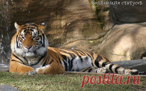 Запомните одну простую истину и никогда ее не забывайте: все, что должно произойти, обязательно произойдет, как бы вы ни старались этого избежать; все, что не должно случиться, не случится, как бы вам этого ни хотелось. Поэтому, в любой ситуации, оставайтесь спокойными.