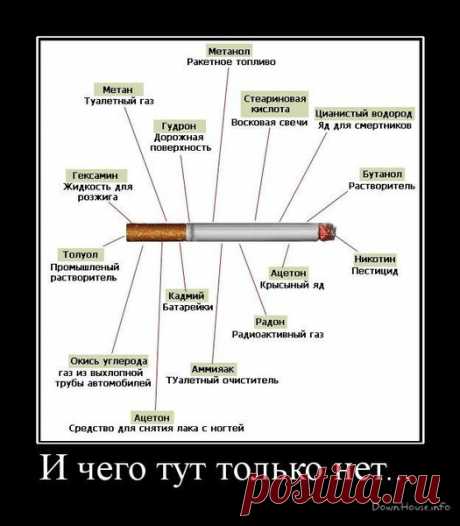 Ответы Mail.Ru: почему некурящему человеку иногда дико хочется курить-никогда и не пробовал
