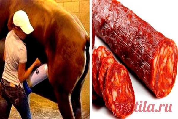 5 продуктов, которые вы никогда не будете есть снова из-за ингредиентов, которые они содержат! Если бы я знал это раньше!
