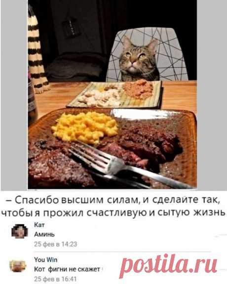 Картинки с надписями и коты, много котов . Тут забавно !!!