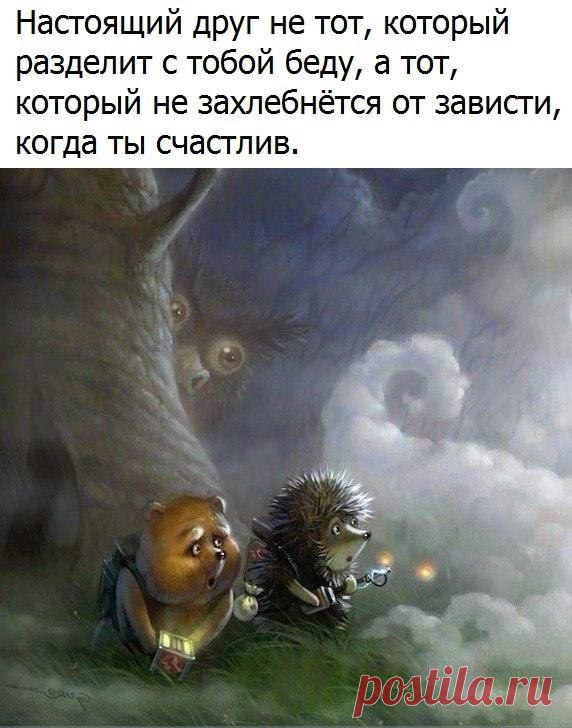 20171504163259_1.jpg (572×728)