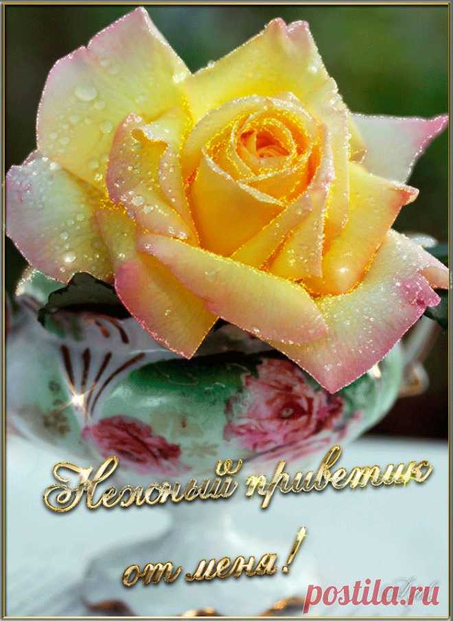 0_a4e0c_36f8a083_orig (700×960)