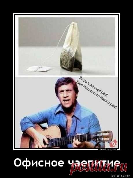 Вам сюда, здесь весело🐱‍👓 | Дед Михаил | Яндекс Дзен