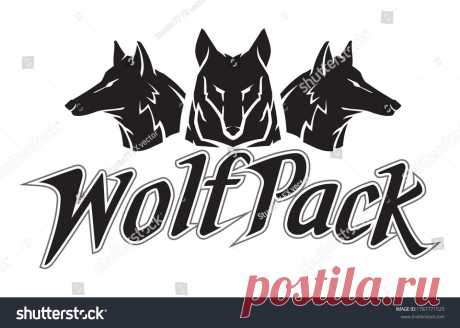 Animals | Studio77 FX vector: коллекция стоковых фотографий и изображений | Shutterstock
