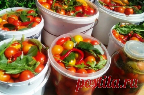 Томаты, квашенные с сахаром: вкуснее рецепта вы еще не пробовали
