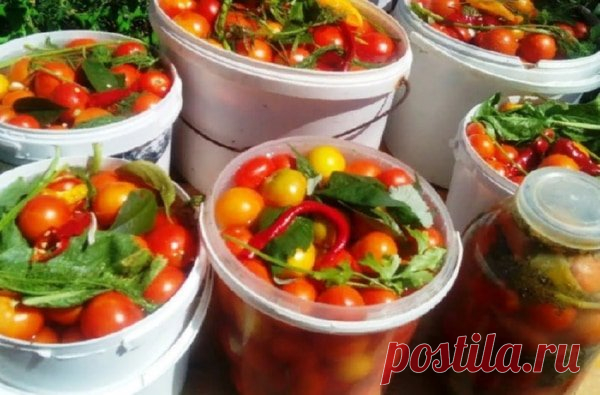 Томаты, квашенные с сахаром: вкуснее рецепта вы еще не пробовали