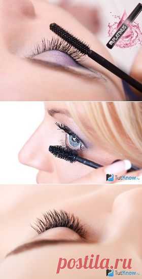 Platinus Lashes для роста ресниц и бровей