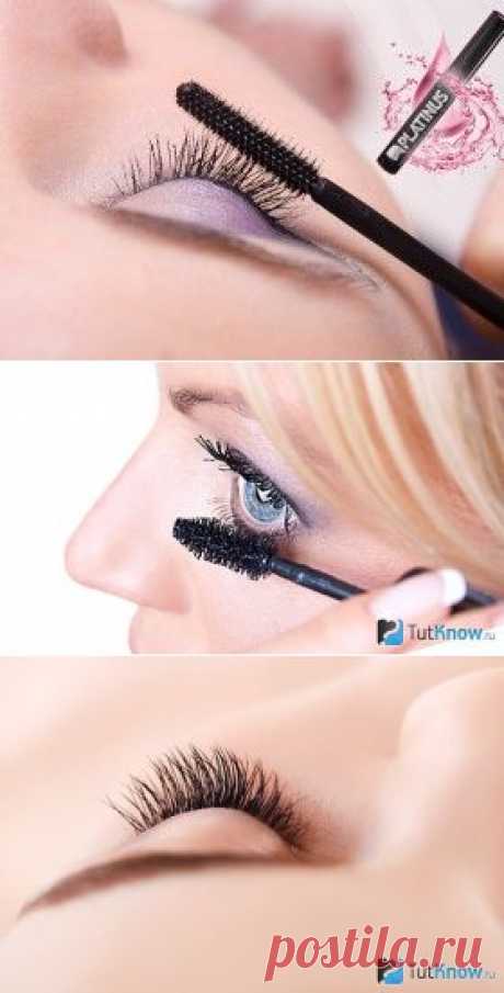 Platinus Lashes для роста ресниц и бровей
