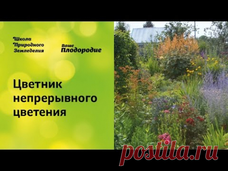 Цветник непрерывного цветения. Легко и просто