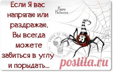 Весёлые картинки, этакие с надписями для хорошего настроения